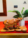 tuong-trau-go-cam-cao-16-ngang-35-sau-14-cm-483894