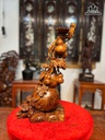 ho-lo-go-sua-bac-cao-48-ngang-27-sau-20-cm-484004