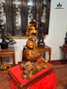 ho-lo-go-sua-bac-cao-52-ngang-33-sau-27-cm-ky-cao-8-cm-484008