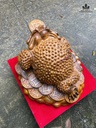 cu-thiem-thu-hut-tai-loc-bach-xanh-cao-ca-ky-39-ngang-42-sau-42-cm-484357