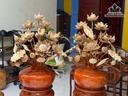 cap-hoa-go-ngoc-am-25-canh-cao-80-xoe-60-binh-go-huong-do-co-ban-le-binh-484367