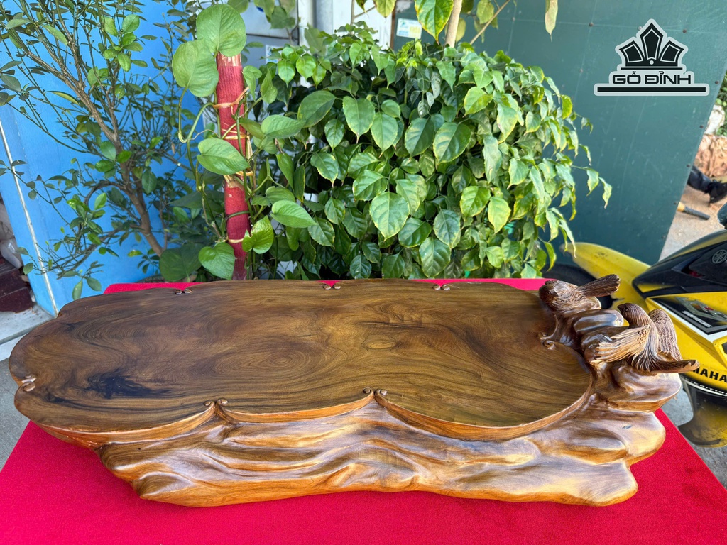 khay-tra-bach-xanh-kt-68x32x14-cm-484370