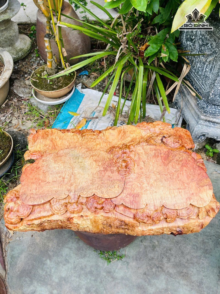 khay-tra-go-nu-huong-ngang-60-sau-40-cao-13-cm-484432
