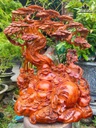 tuong-phat-di-lac-tam-phuc-go-nu-huong-cao-75-ngang-60-sau-40-cm-484458
