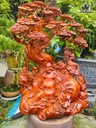 tuong-phat-di-lac-tam-phuc-go-nu-huong-cao-75-ngang-60-sau-40-cm-484459