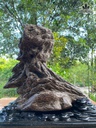 tram-do-bau-phong-thuy-cao-45-ngang-48-sau-22-cm-105kg-484550
