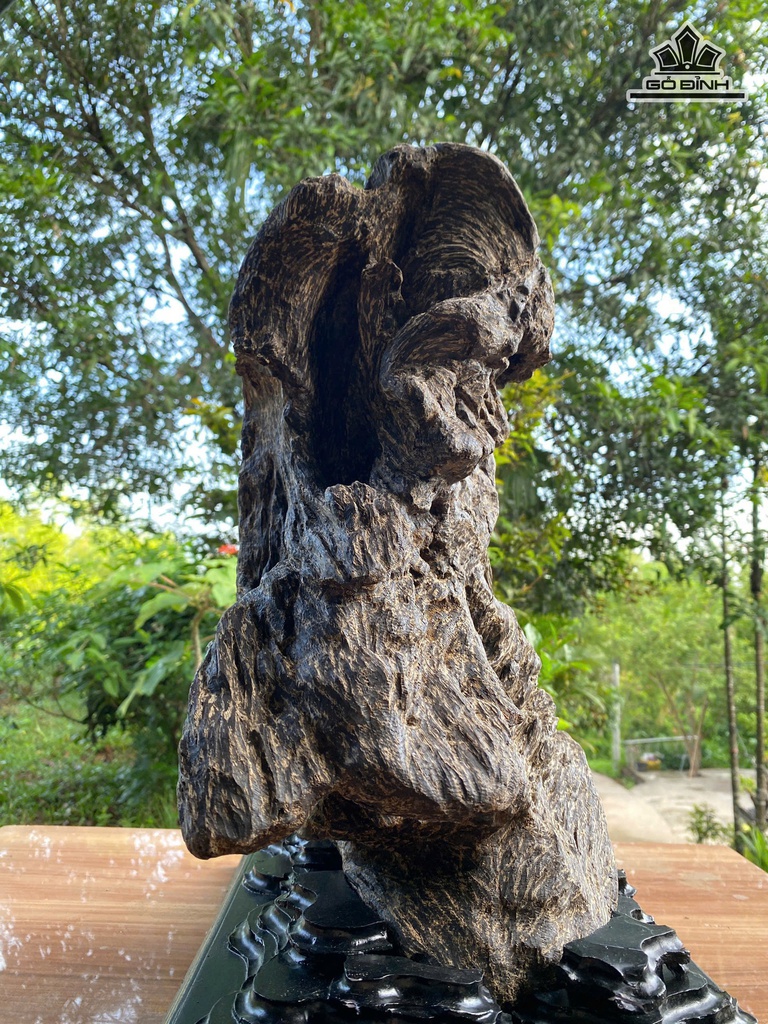 tram-do-bau-phong-thuy-cao-45-ngang-48-sau-22-cm-105kg-484551