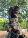 tram-do-bau-phong-thuy-cao-45-ngang-48-sau-22-cm-105kg-484551