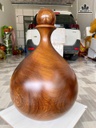 giot-nuoc-go-cam-da-gia-lai-cao-62-duong-kinh-41-cm-484573