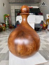 giot-nuoc-go-cam-da-gia-lai-cao-62-duong-kinh-41-cm-484577