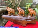tuong-voi-go-bach-xanh-cao-26-ngang-43-sau-115-cm-484728