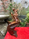 tuong-quan-cong-go-bach-xanh-cao-32-ngang-36-sau-14-cm-484736