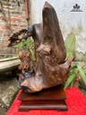 tuong-quan-cong-go-bach-xanh-cao-38-ngang-38-sau-25-cm-484742