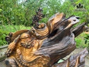 tuong-dat-ma-su-to-go-bach-xanh-cao-71-ngang-79-sau-50-cm-484763