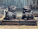 cap-nghe-beo-go-trac-cao-18-ngang-17-sau-11-ky-cao-7x22x22-cm-484799