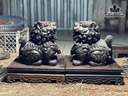 cap-nghe-beo-go-trac-cao-18-ngang-17-sau-11-ky-cao-7x22x22-cm-484800
