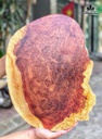 dien-dat-ma-go-nu-huong-cao-42-ngang-32-sau-12-cm-485109