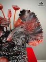 ca-xiem-doi-tai-loc-go-trac-cao-72-ngang-68-sau-30-cm-485132
