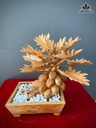 du-du-tai-loc-go-ngoc-am-cao-42-ngang-45-sau-27-cm-485139