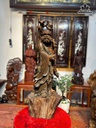 tuong-dat-ma-su-to-go-trac-cao-83-ngang-30-sau-22-cm-485182