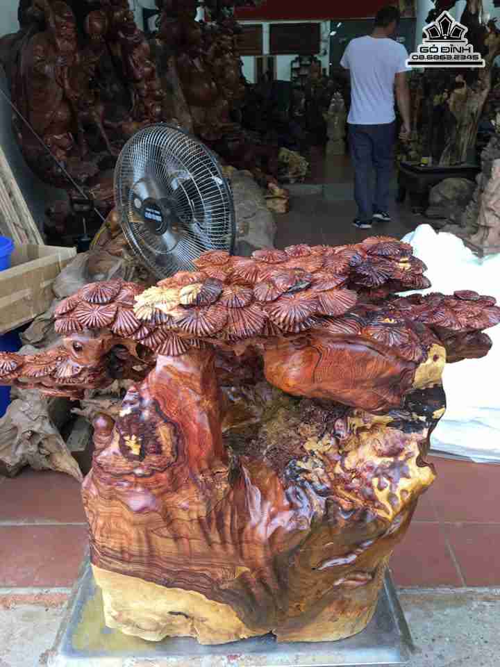 Tuong-Phat-Di-Lac-ngu-phuc-ngoi-goc-tung-go-cam