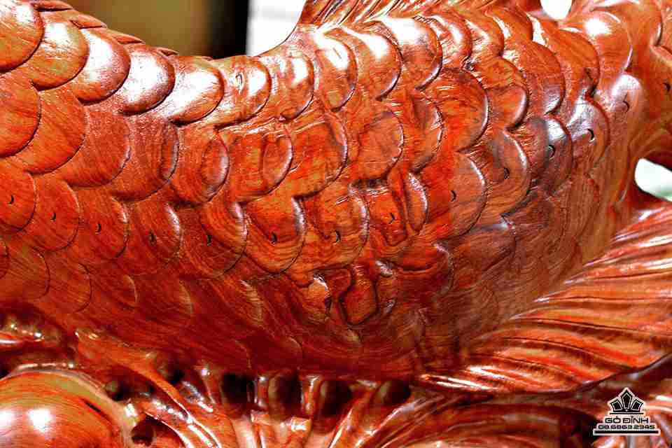 Ca-kim-long-go-huong-ngang-68-cao-33-day-23-cm