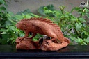 Tac-ke-hoa-go-huong-ngang-31-cao-16-day-16-cm