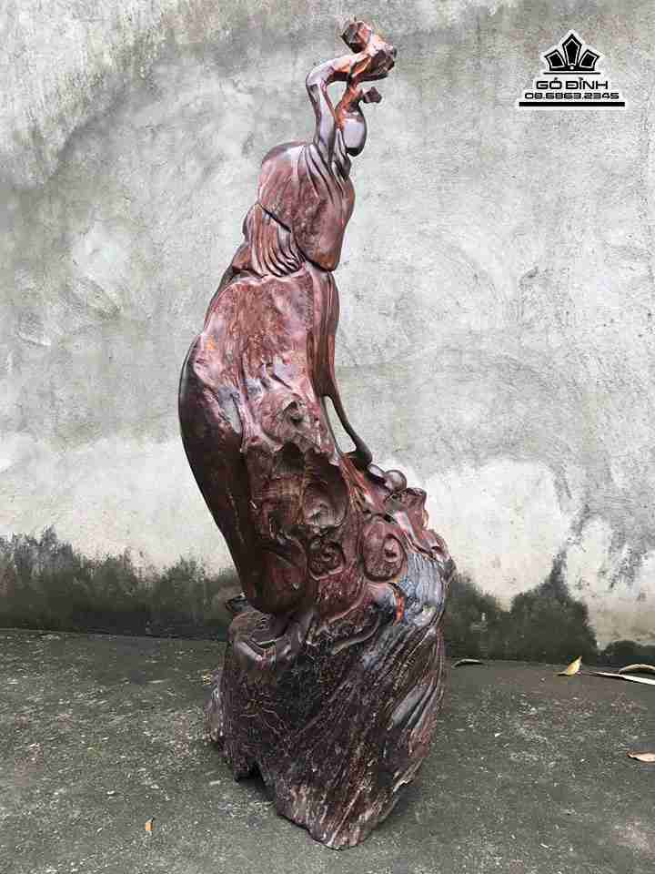 Dat-ma-qua-hai-go-trac-cao-99-rong-33-day-55-cm