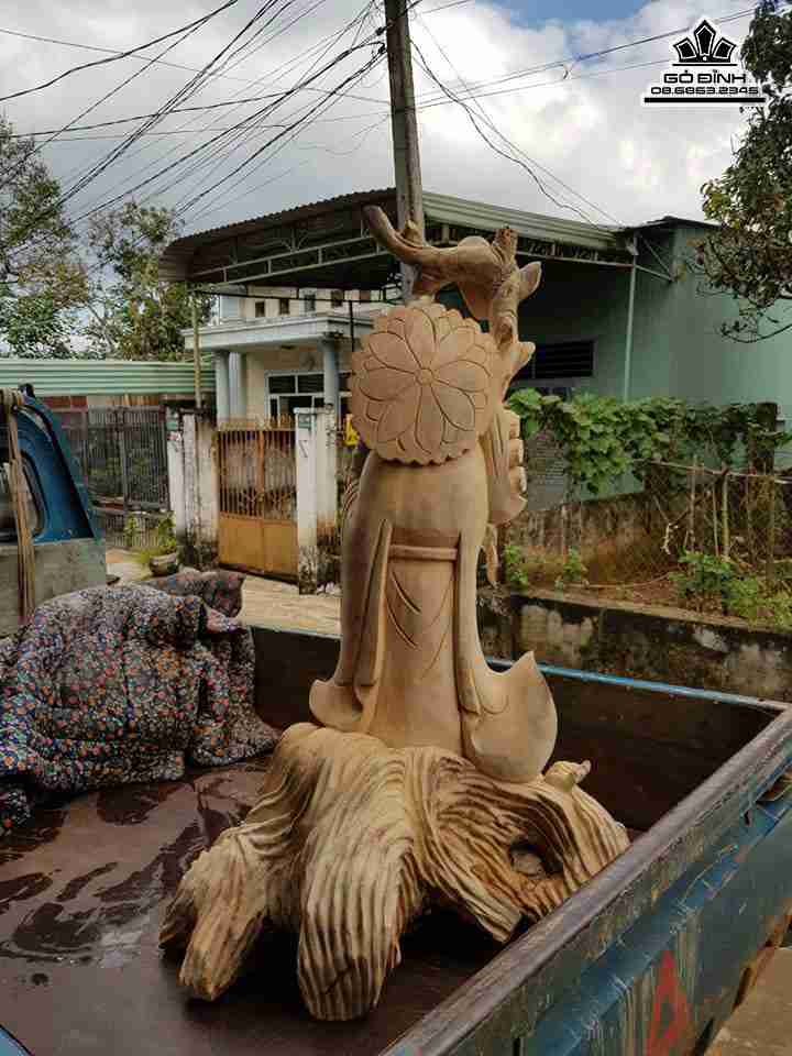 Dat-ma-qua-hai-go-xa-xi-cao-1m30-rong-70-sau-50-cm