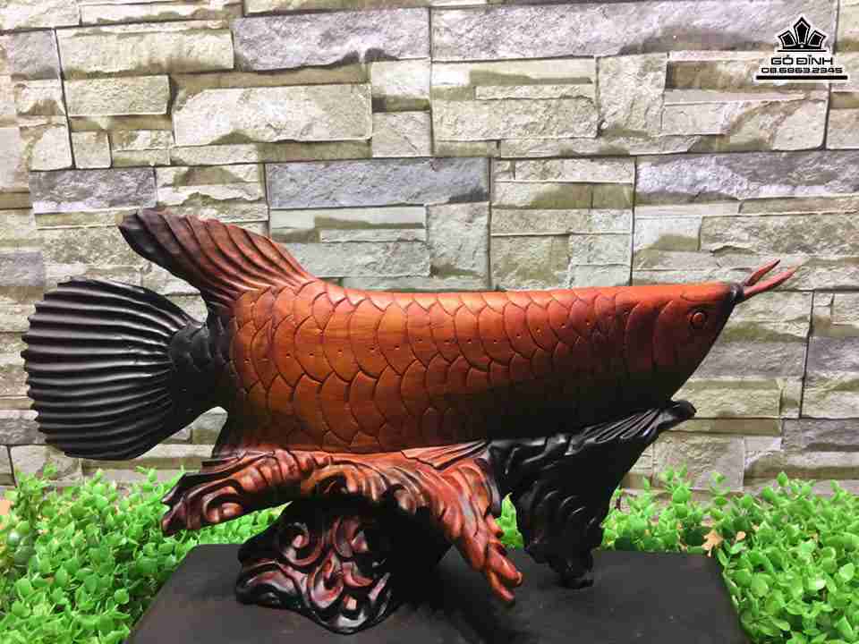 Ca-Kim-Long-go-trac-do-den-cao-20-dai-40-day-10-cm