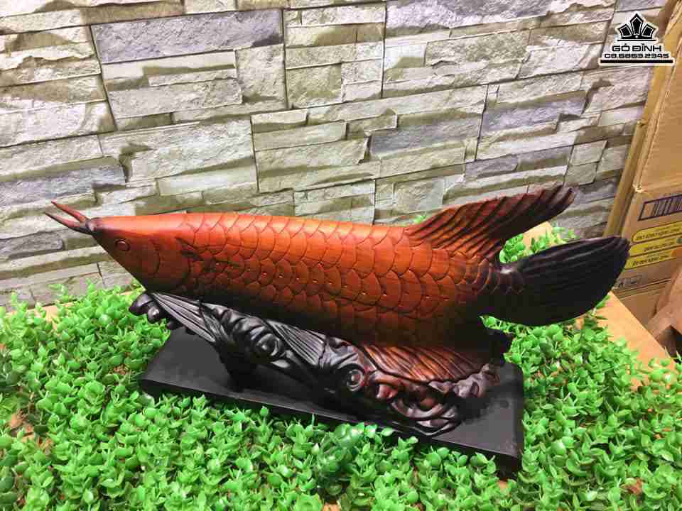 Ca-Kim-Long-go-trac-do-den-cao-20-dai-40-day-10-cm