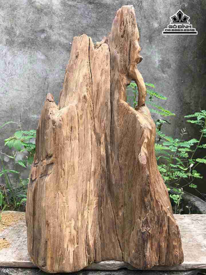 Ong-tho-go-lua-bach-xanh-cao-43-rong-26-day-16-cm