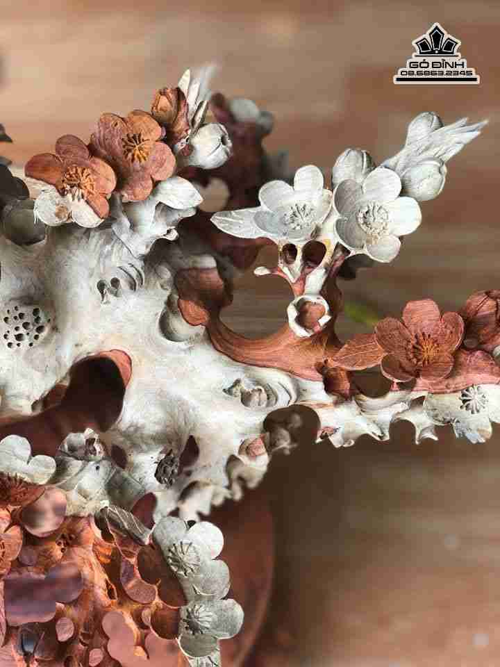 Binh-mai-dieu-go-huong-cao-86-rong-52-sau-41-cm