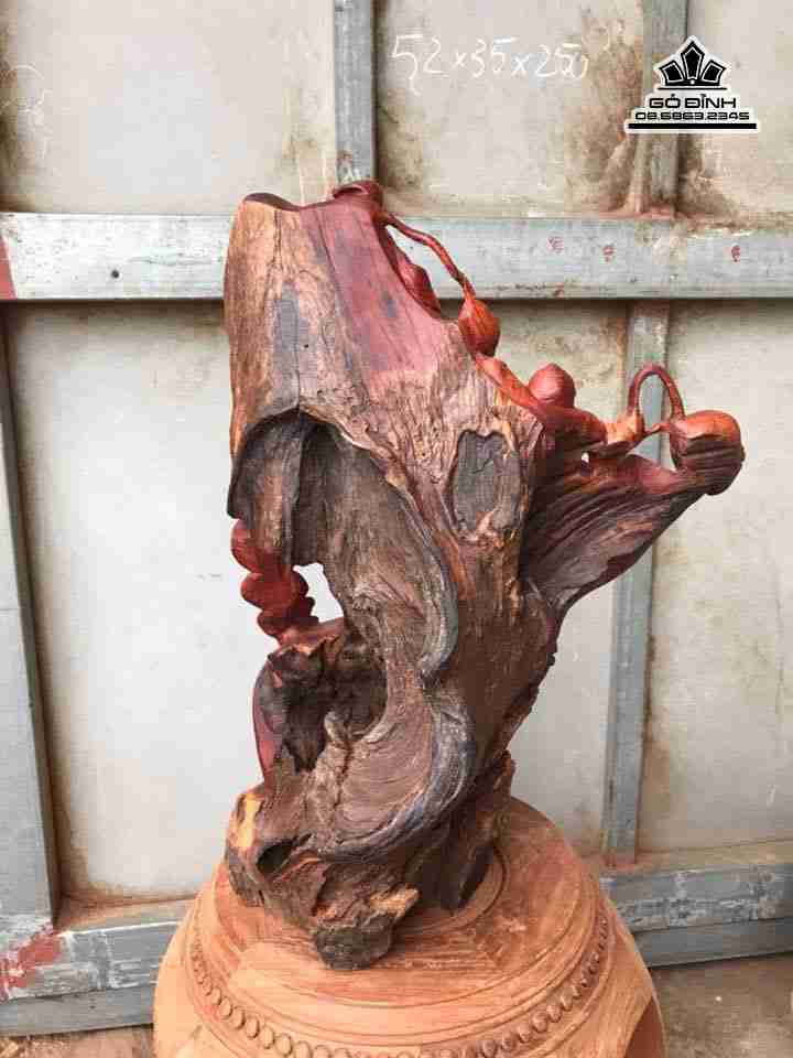 Phat-di-lac-nhu-y-go-huong-cao-52-rong-35-day-25-cm