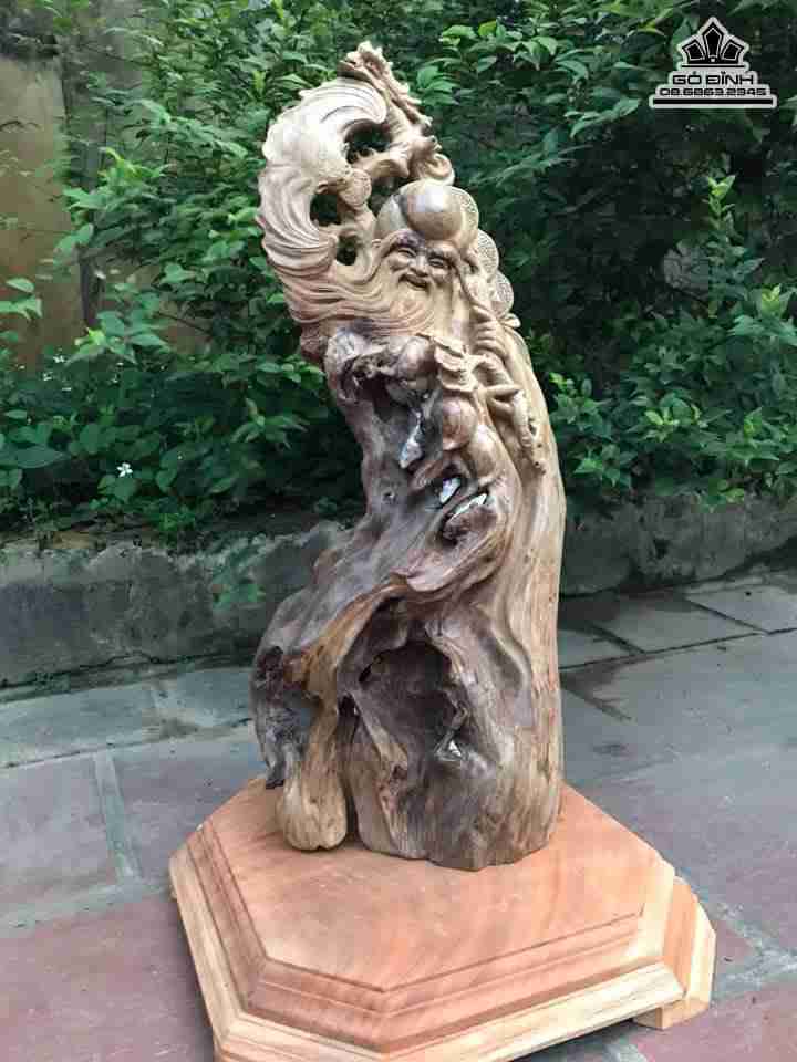 Ông thọ lũa bách xanh  1