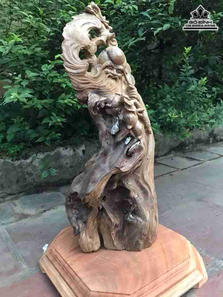 Ông thọ lũa bách xanh  3