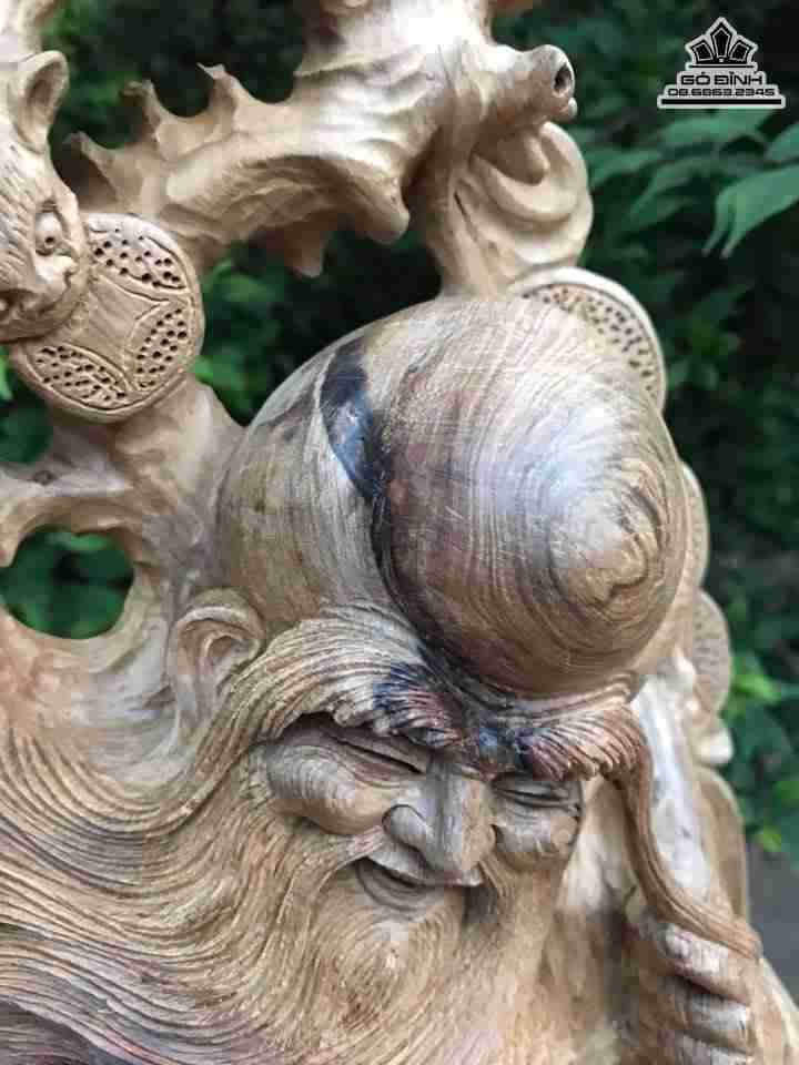 Ông thọ lũa bách xanh  4