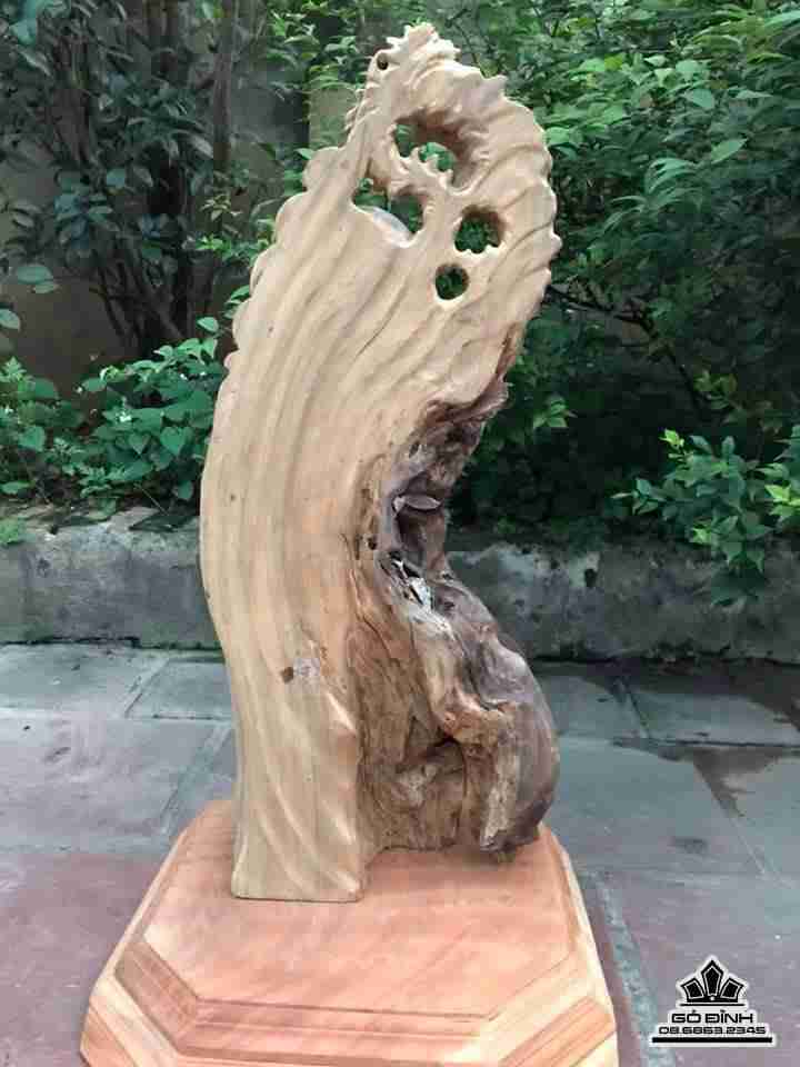 Ông thọ lũa bách xanh  6