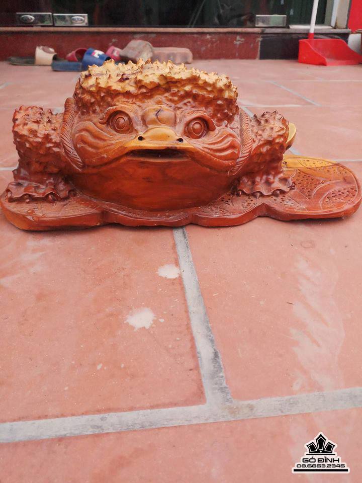 Cóc gỗ hương  1