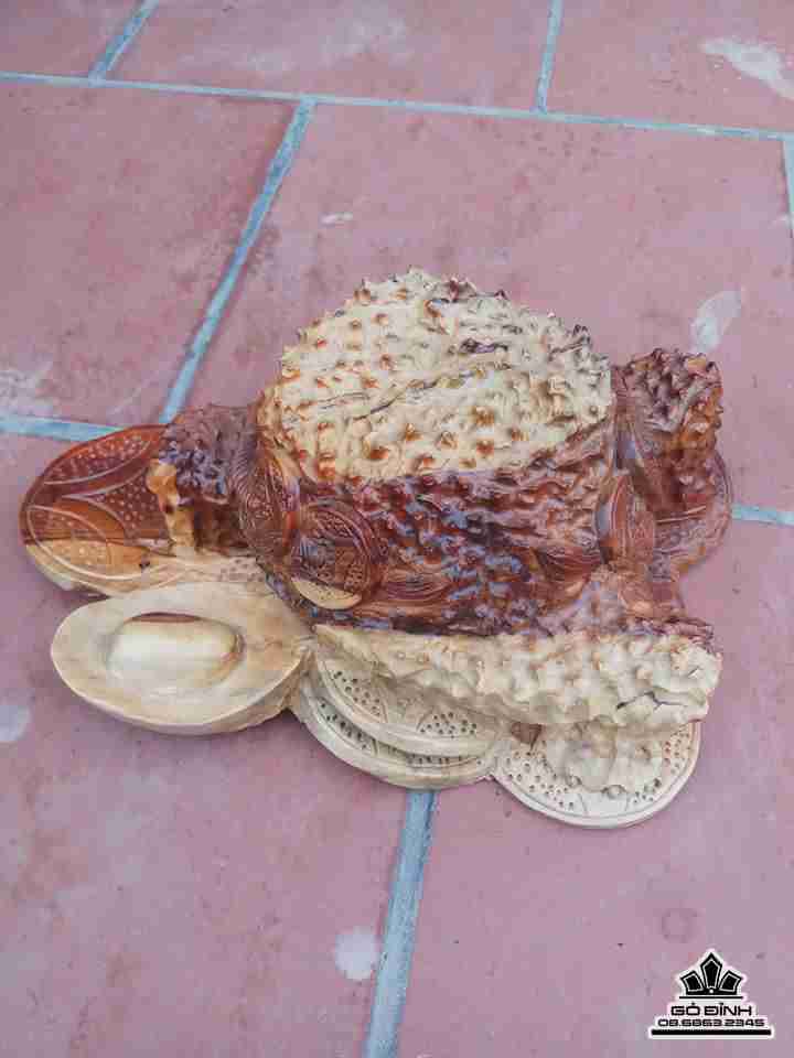 Cóc gỗ hương  3