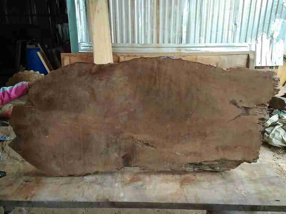 Tranh vinh quy bái tổ gỗ chun dổi  6