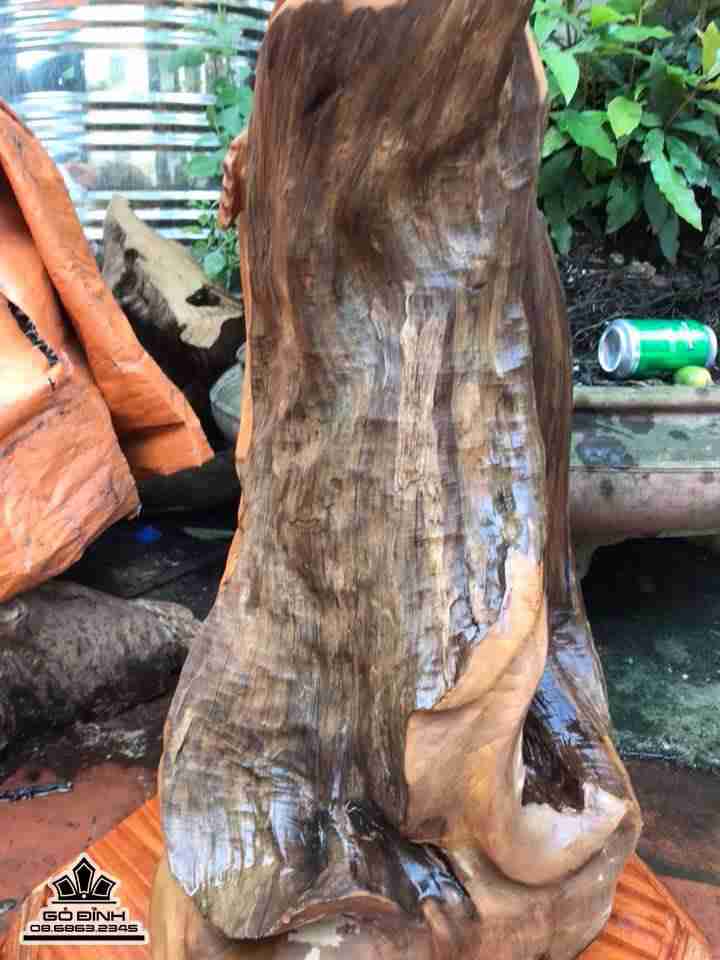 Ông thọ lũa sụn ngọc am thơm  9