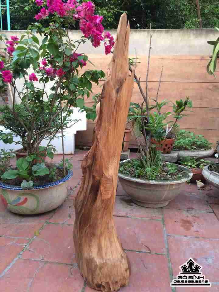 Cụ thọ gỗ ngọc am thơm 1