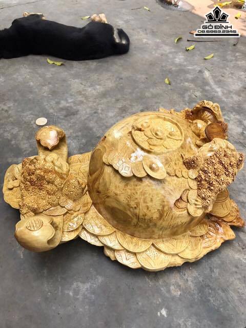 Cóc chum nu kháo  1