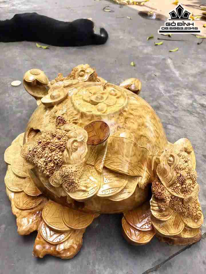 Cóc chum nu kháo  2