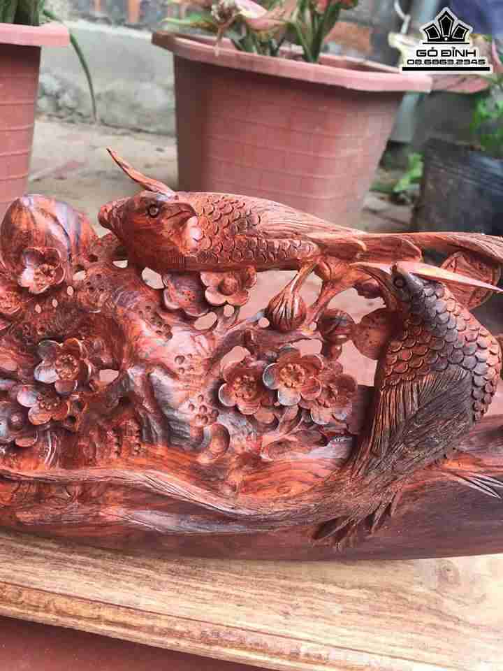 Mai điểu gỗ trắc đỏ đen  3