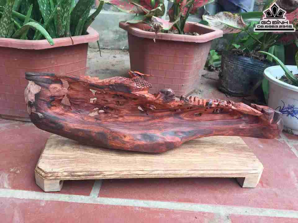 Mai điểu gỗ trắc đỏ đen  6