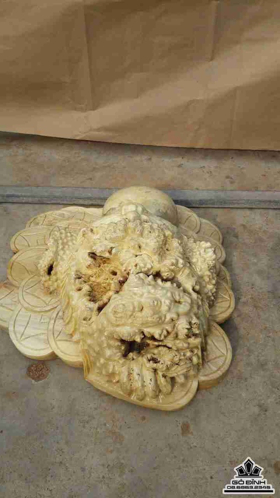 Cóc phú quý gỗ nu nghiến 3