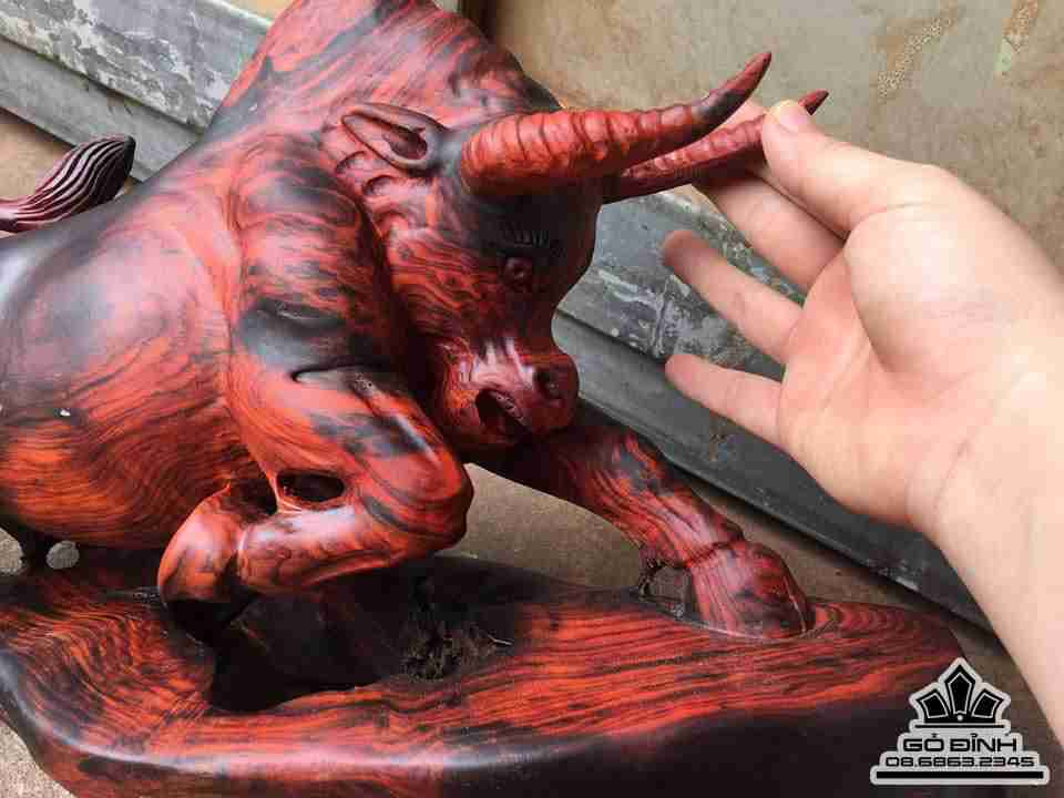 Bò tót gỗ trắc đỏ đen 47x23x16 2