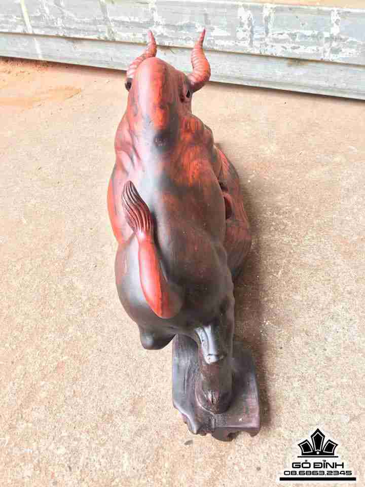 Bò tót gỗ trắc đỏ đen 47x23x16 4